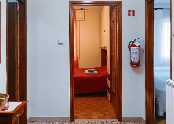 - Ortensia